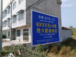云县墙体广告质量分析