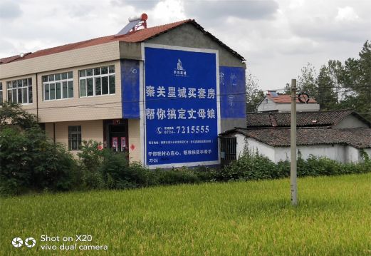 云县决定墙体广告价格的因素有哪些?